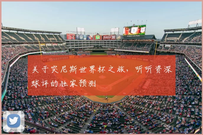 关于突尼斯世界杯之旅，听听资深球评的独家预测