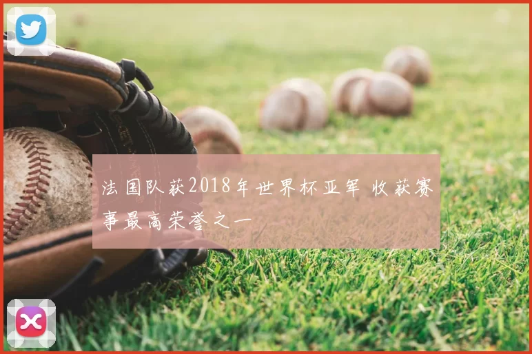 法国队获2018年世界杯亚军 收获赛事最高荣誉之一