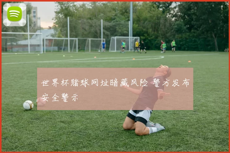 世界杯赌球网址暗藏风险 警方发布安全警示
