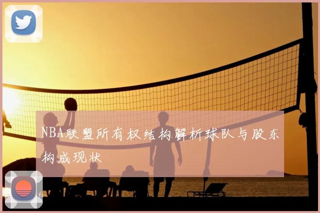 NBA联盟所有权结构解析球队与股东构成现状