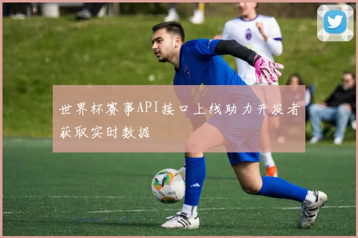 世界杯赛事API接口上线助力开发者获取实时数据