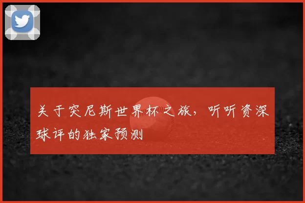 关于突尼斯世界杯之旅,听听资深球评的独家预测