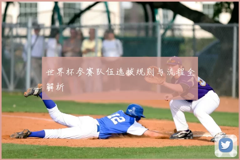 世界杯参赛队伍选拔规则与流程全解析