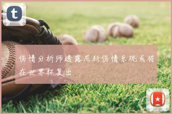 伤情分析师透露尼科伤情乐观或将在世界杯复出