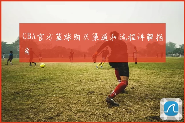 CBA官方篮球购买渠道和流程详解指南