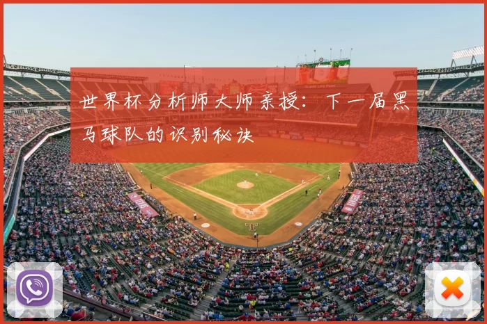 世界杯分析师大师亲授:下一届黑马球队的识别秘诀