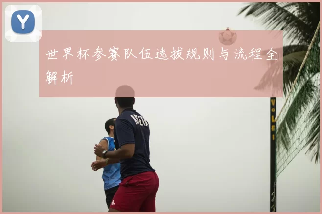 世界杯参赛队伍选拔规则与流程全解析