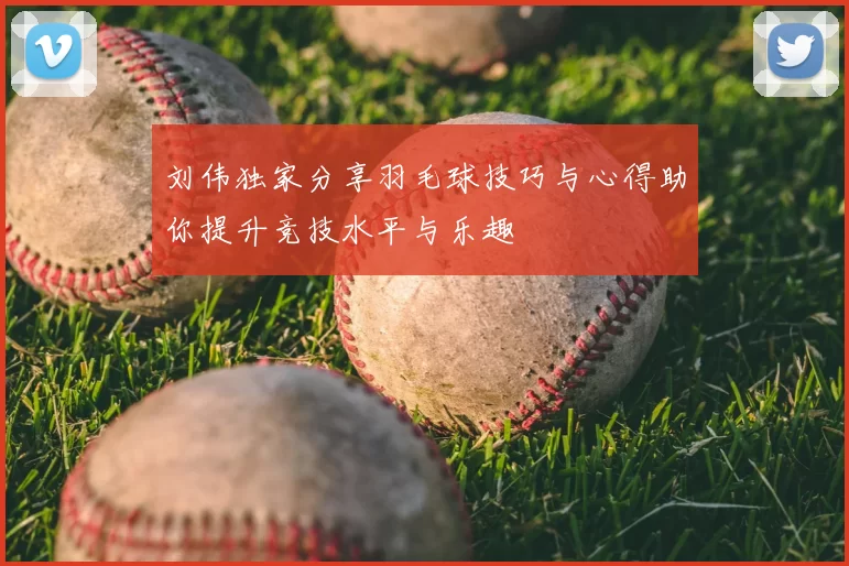 刘伟独家分享羽毛球技巧与心得助你提升竞技水平与乐趣