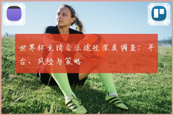 世界杯竞猜合法途径深度调查：平台、风险与策略